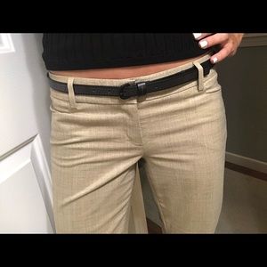 Size 4 Express shimmer gold pants